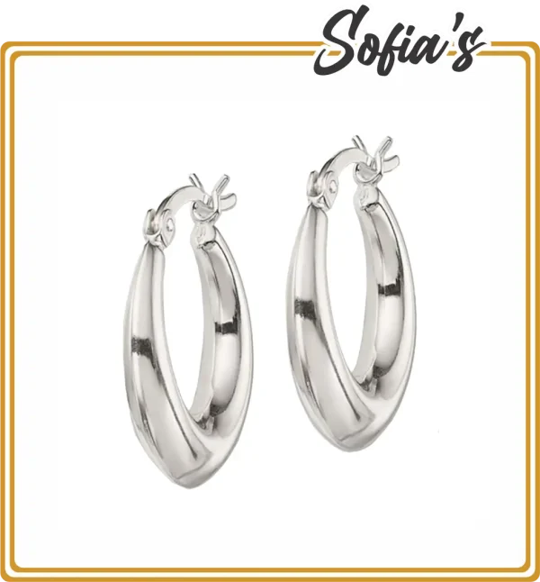 Silver Earrings